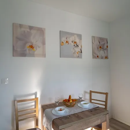 Mily W Miescie * 克拉科夫