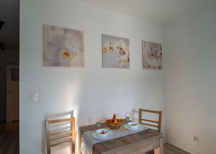 Mily W Miescie * קרקוב